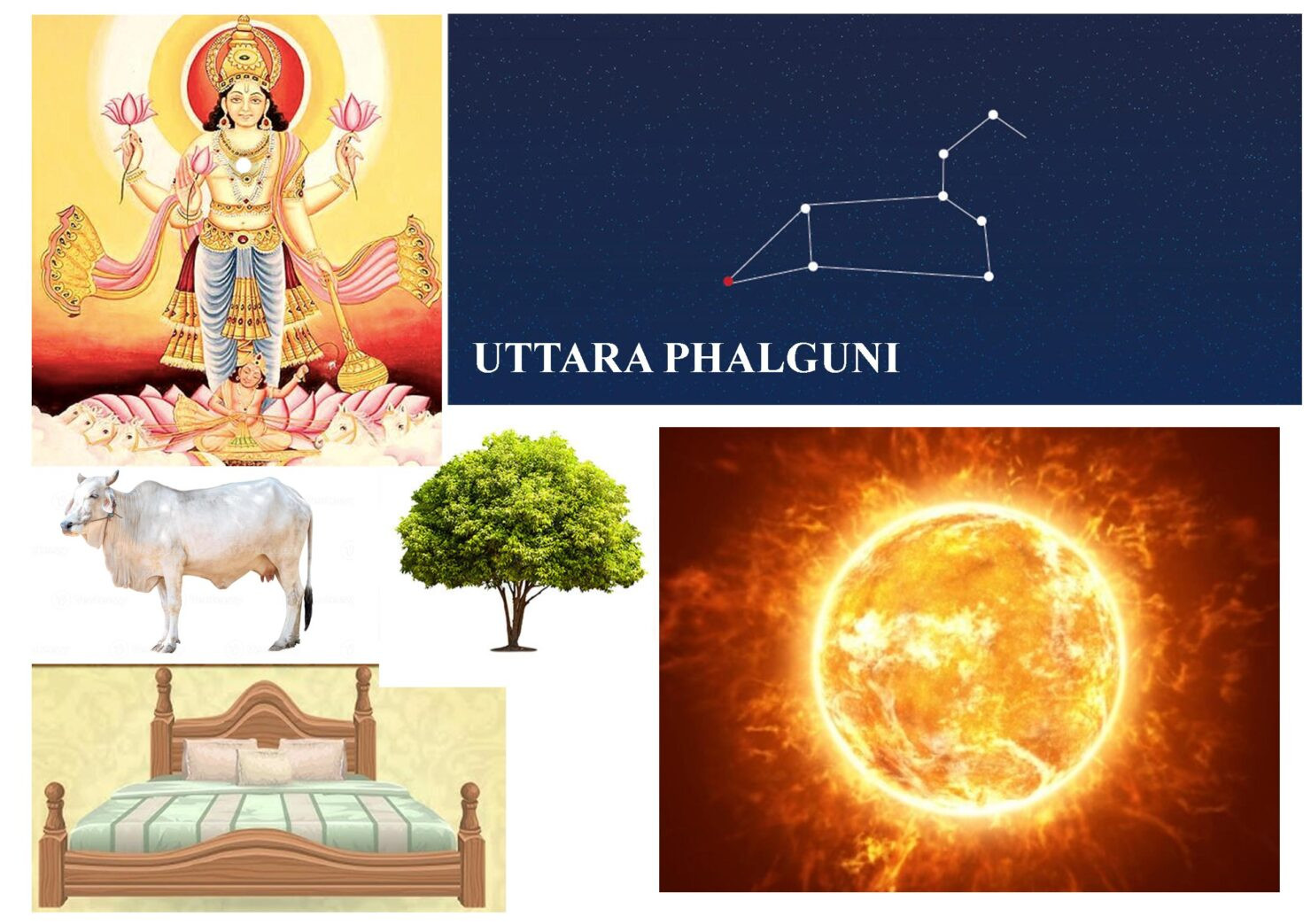 UttaraPhalguni